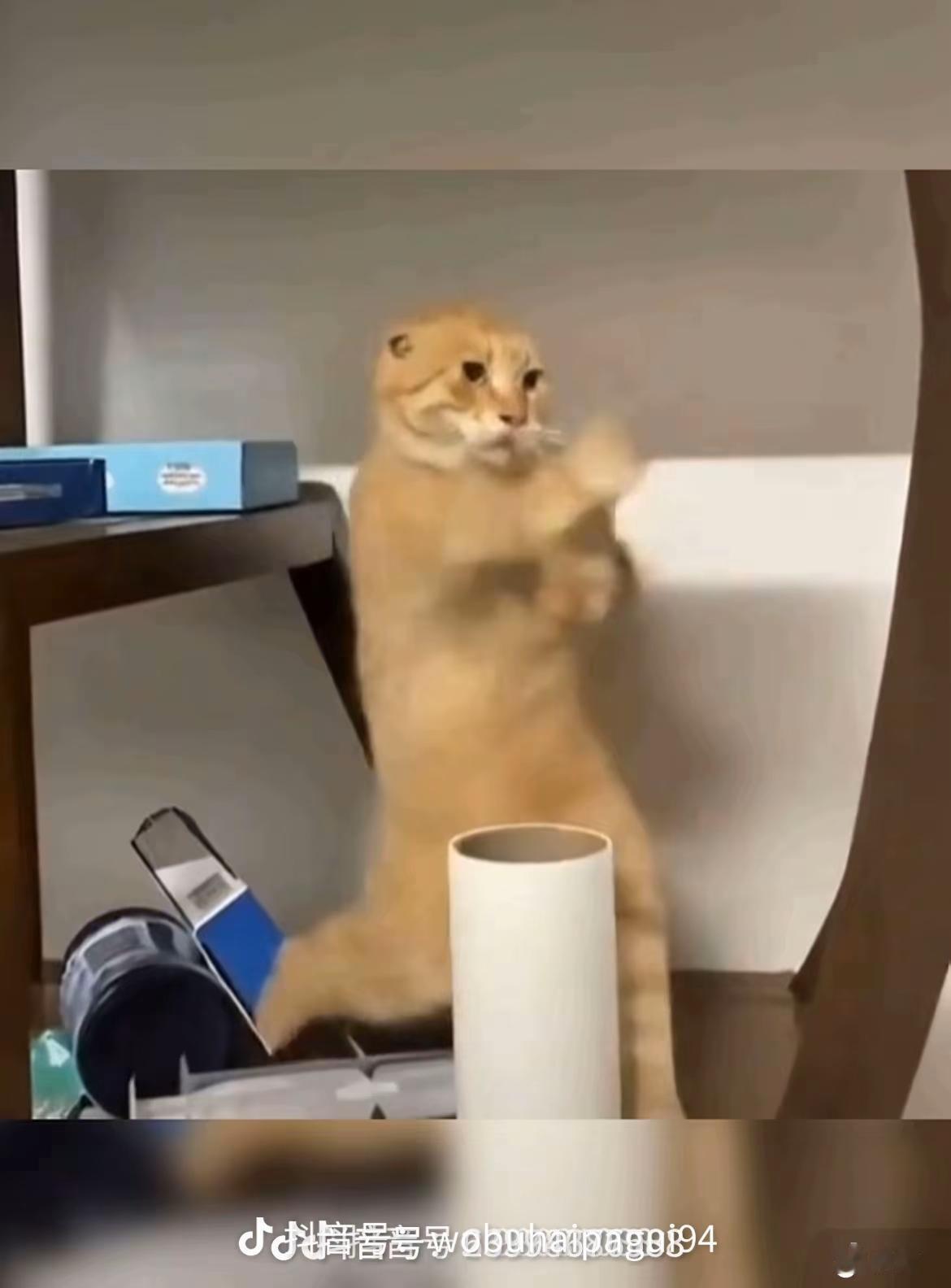 注册监理工程师证书就业渠道有点小，只能在监理行业，只能在监理招投标上使用，其他行