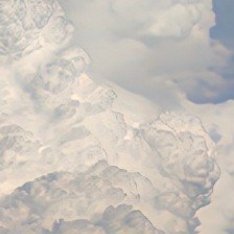 种植  微公益 白菜的种植方法：1. 选地与整地选择阳光充足、排水良好的肥沃土壤