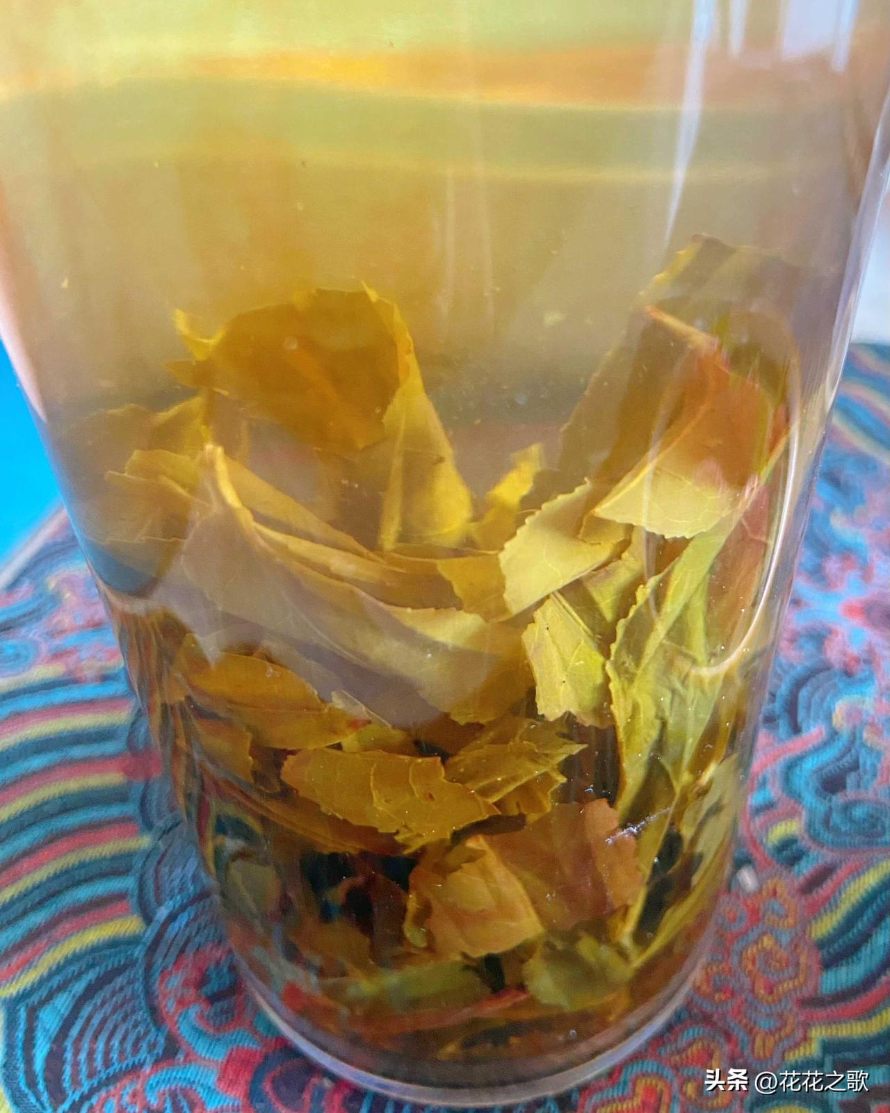 说到这个，真的是迷茫。

跟着学的什么看西瓜皮花纹是否整齐，什么看西瓜藤接口处是