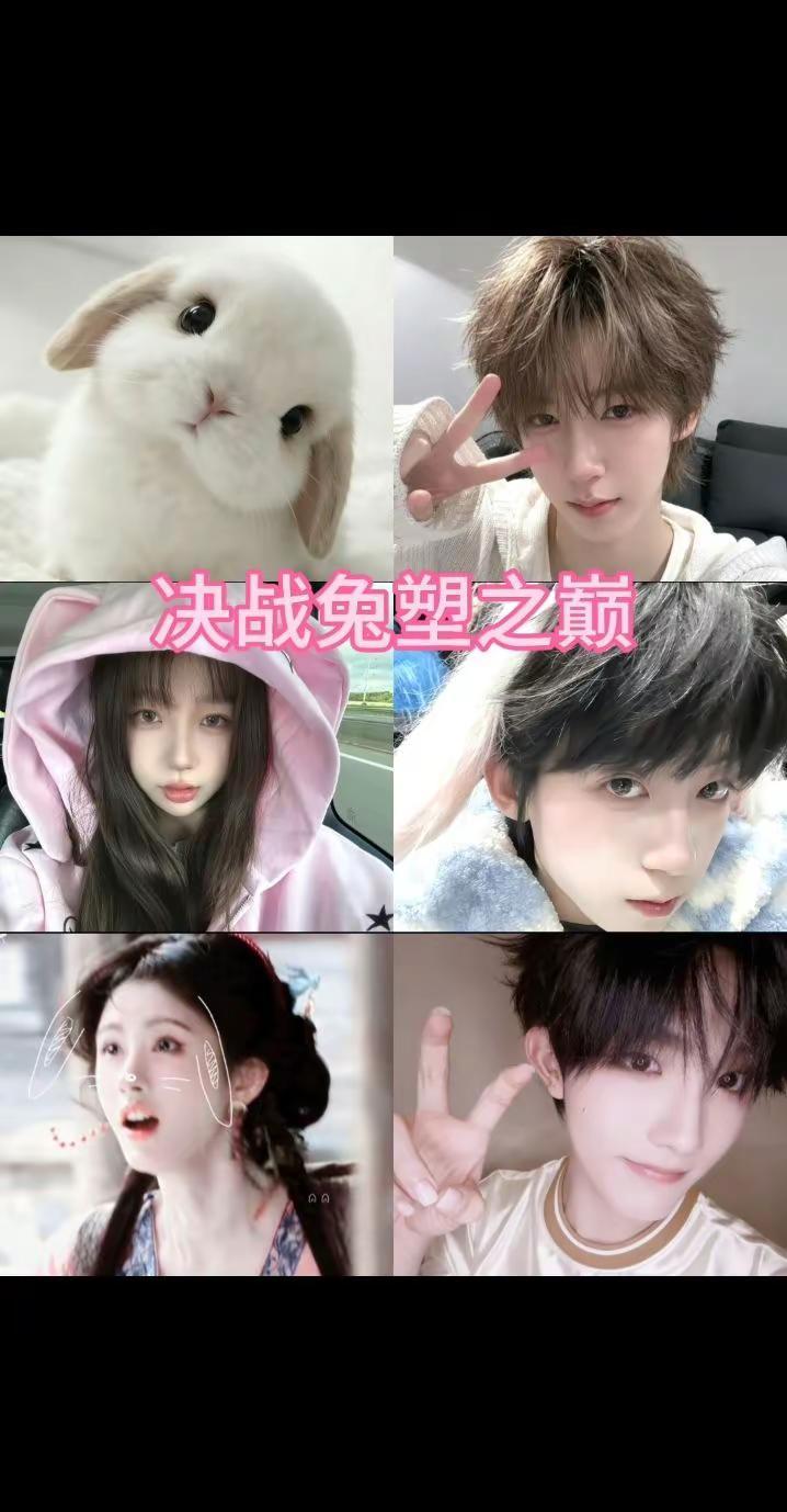 决战兔塑之巅