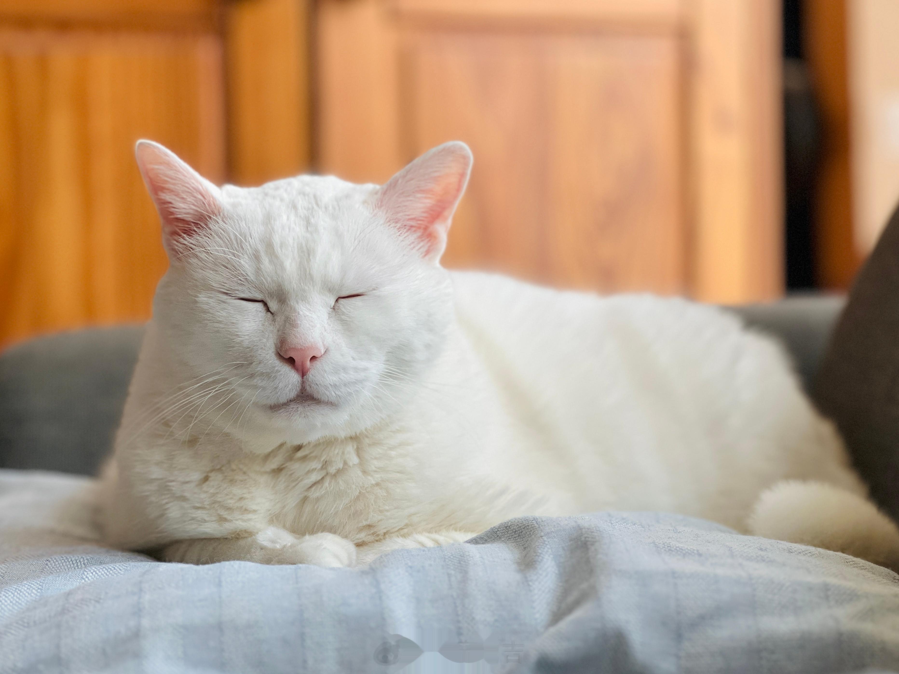 忍忍！就快下班惹～～ ​​​