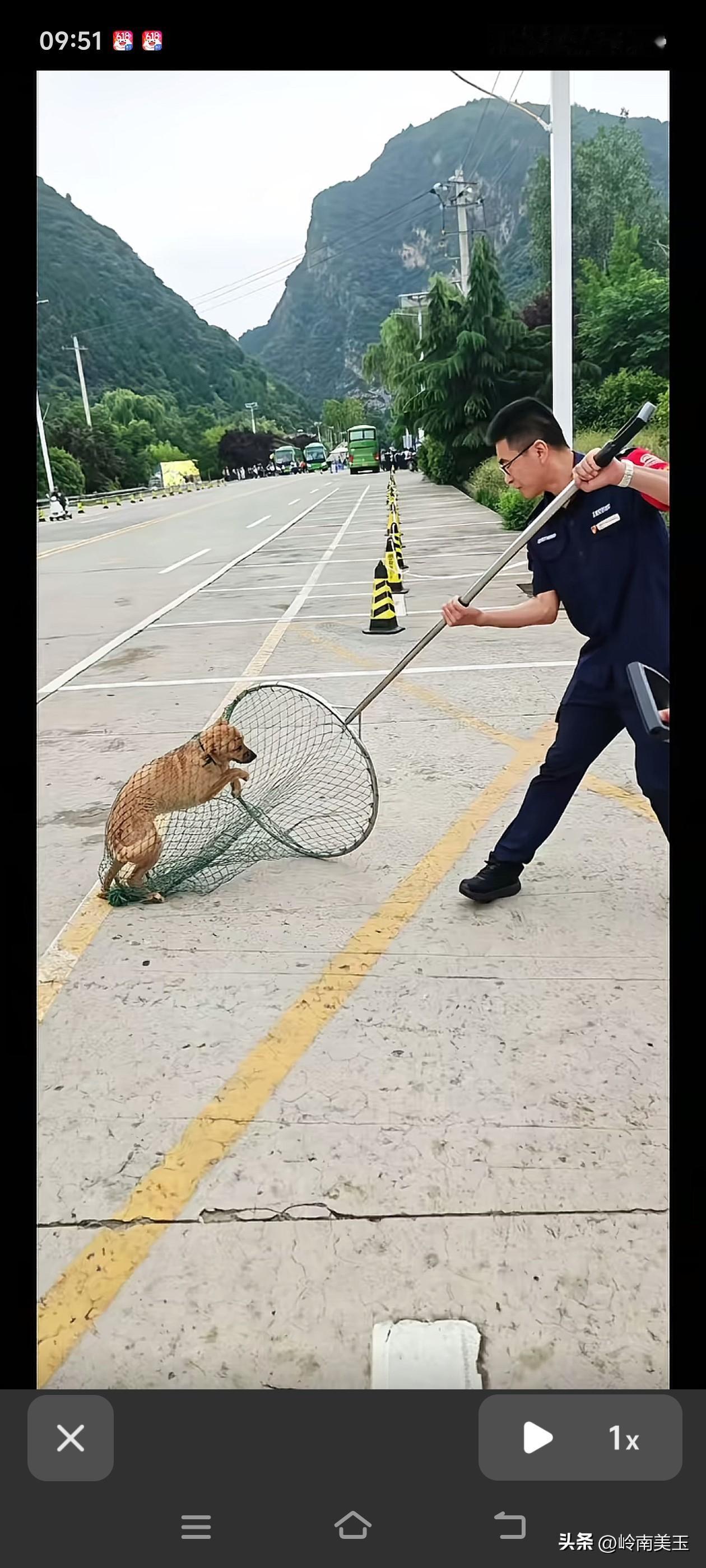 气不打一处来，刚刚刷到一个抖音，气的不行，以前是把从城市捉到的毒蛇放到农村放生，