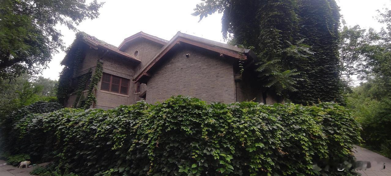 北大真漂亮……