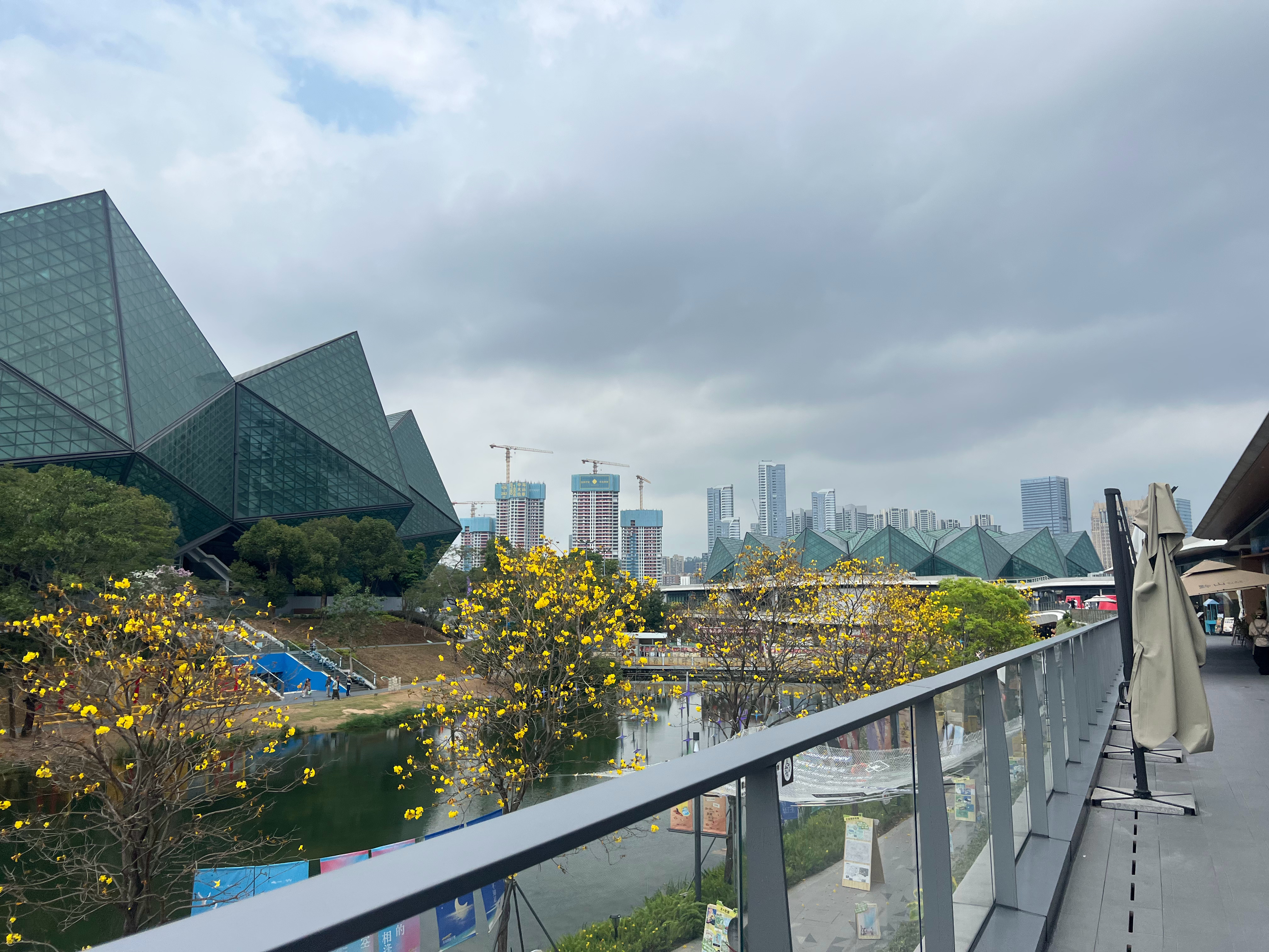 春雷一响万物长，春回大地好时节！让我们向春而行，向阳而生，共赴一场春天的约会！3