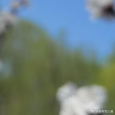 以前谈恋爱，我把“秒回”当作爱的硬指标。他回慢了我就焦虑，回短了我就多想，超过半