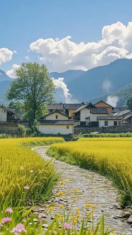 田居即景

金稻千重映碧空，
溪桥曲径入村中。
炊烟袅袅随风散，
莫问前程且听风