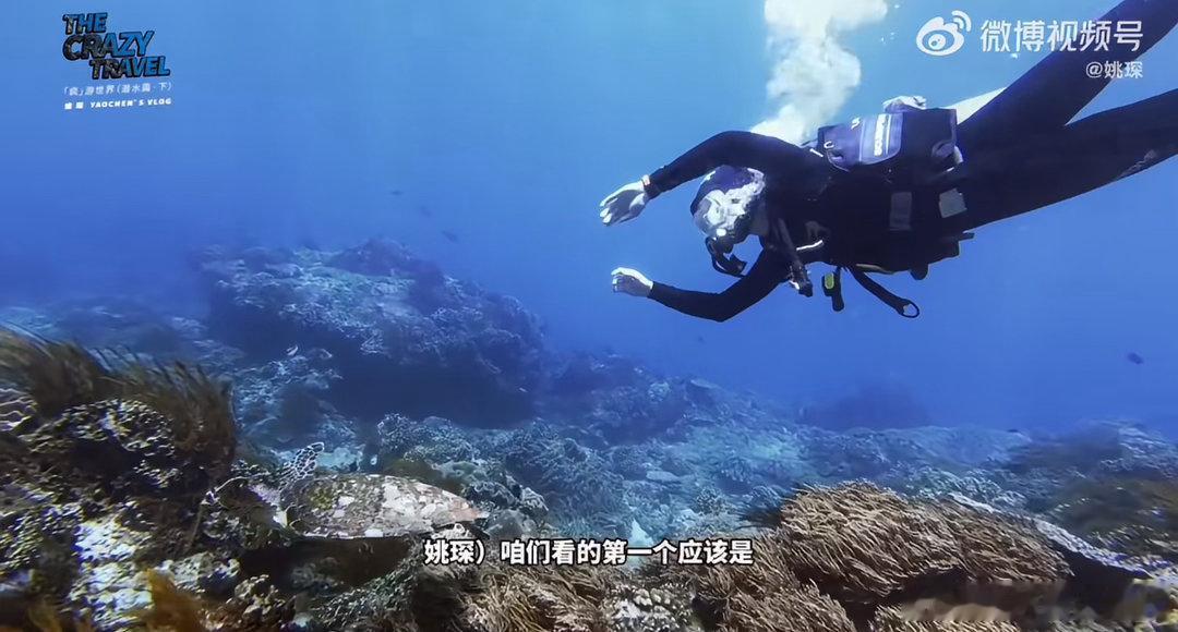 姚琛在巴厘岛深潜拍到海狼风暴解锁新成就！姚琛巴厘岛深潜成功拍到海狼风暴，一边探索