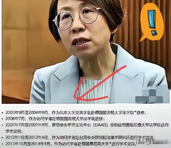 北大教授赵宏，长期接受瑞典资助，思想长期受到西方影响，西方意识形态的践行者和传播