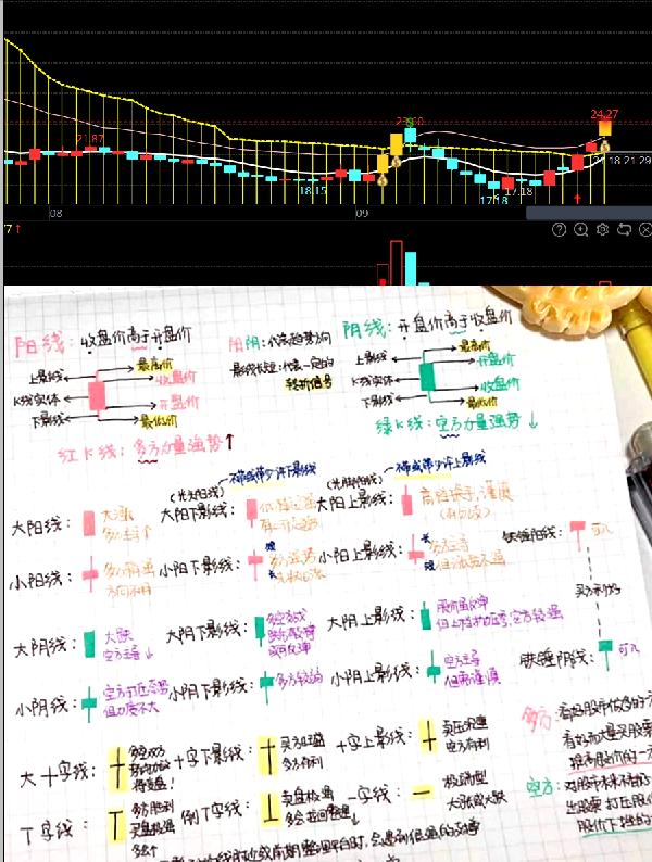 你们肯定需要这个！这么多人排队开户，不仅要筹备资金，还要抓紧这7天内扫盲#股民日