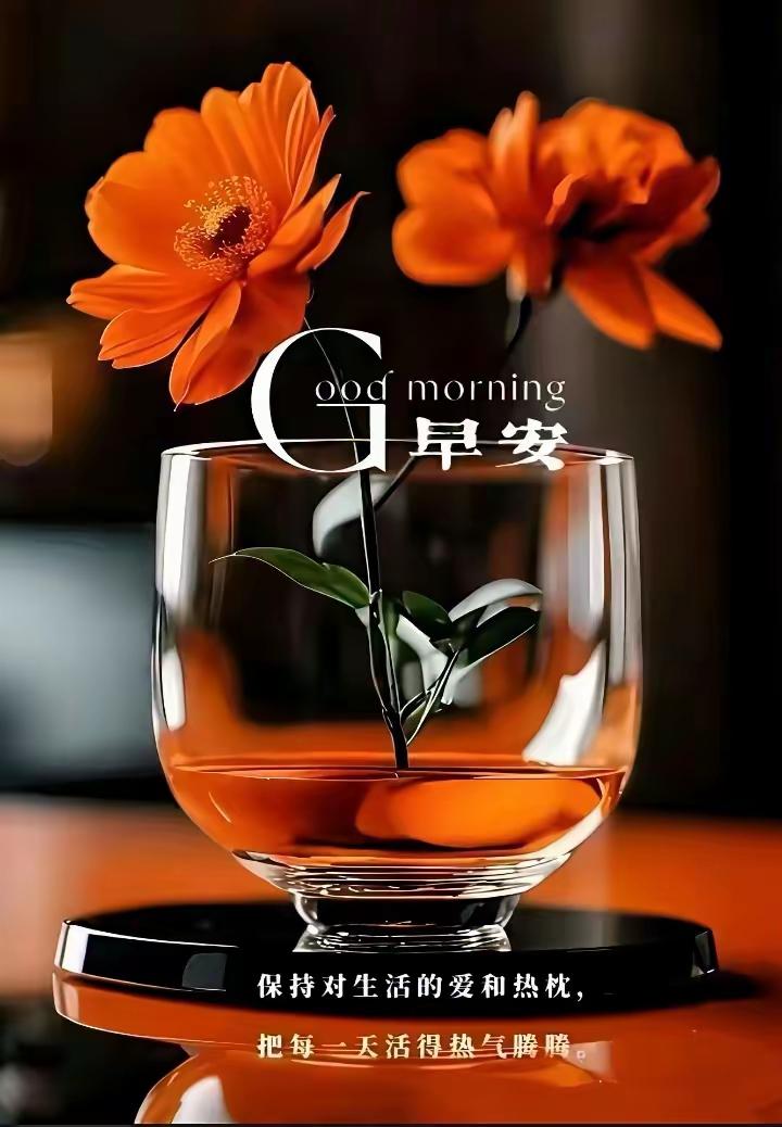 早安好心情，从一杯暖茶开始！🌻🍵