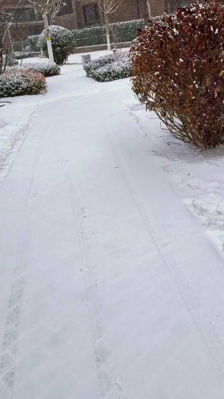 ❄️元宵落幕春雪来，古城瞬间换银装。红墙脚下落雪簌簌，每一帧都像老电影里的温柔画