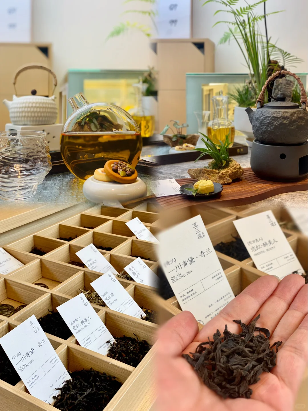 顺德| 发现一家新晋茶饮店！