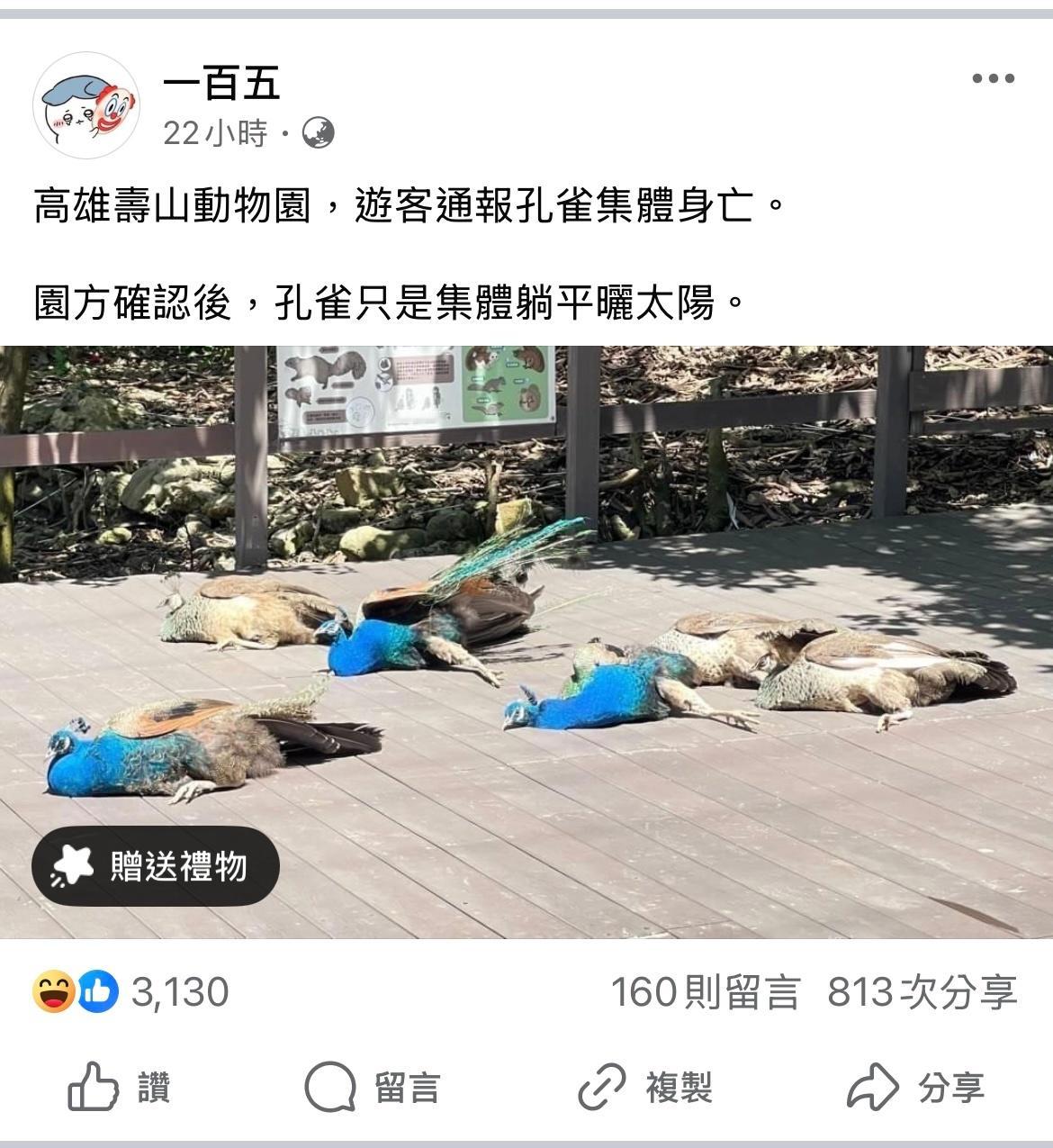 [允悲][允悲][允悲] ​​​