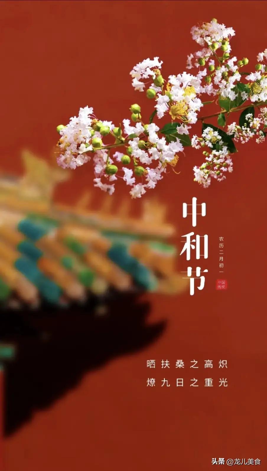 ——“二月初一，别踩雷！”凌晨3点，我妈把全家从床上薅起来，连猫都没放过，理由是