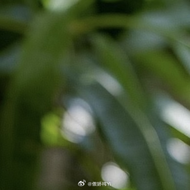 0000芒果🥭的种植方法:1. 选地与土壤选择光照充足、通风良好的地方。土壤以