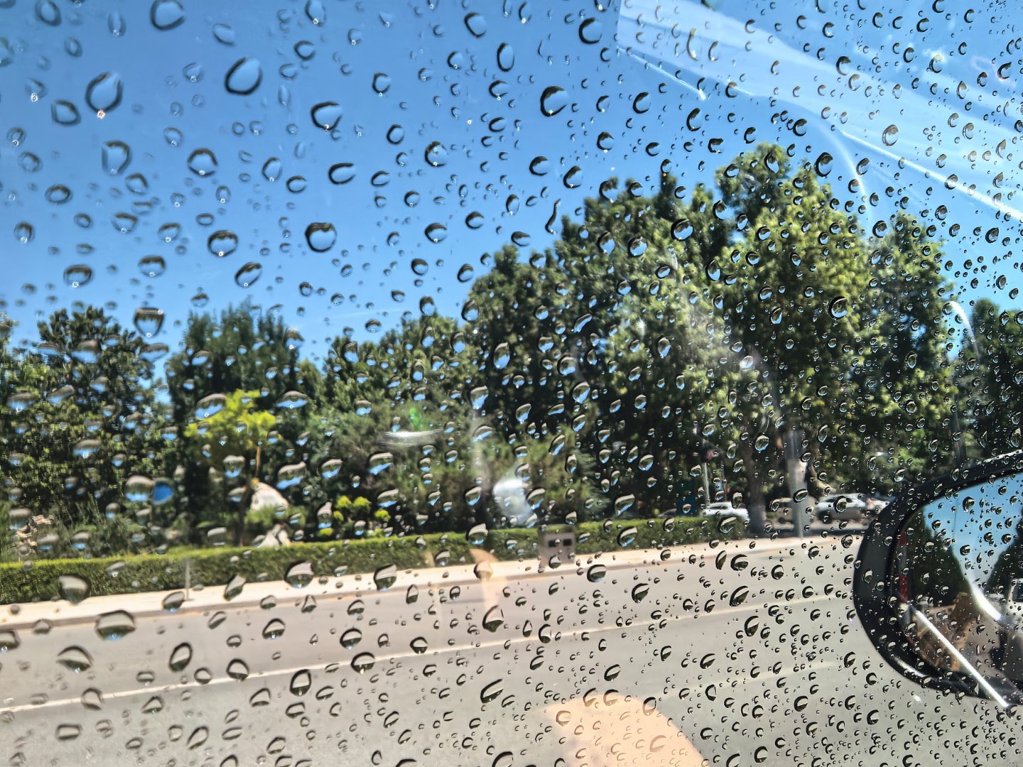 嗯嗯洗车就靠下雨和洒水车有一阵子了 