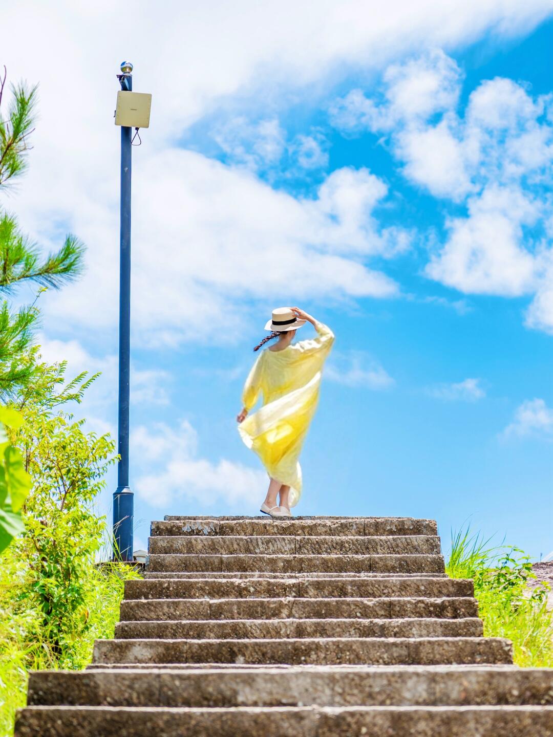 绿野仙踪双童山 🌿绿光森林里的治愈暑假