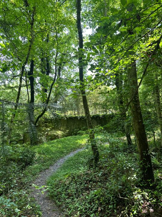山野🍀建议感觉能量低的都来这儿交换能量