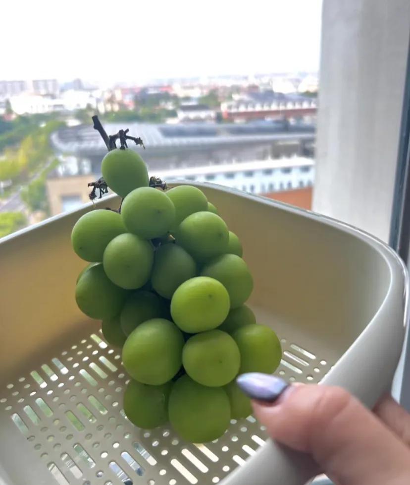 山姆放了3周的葡萄馋
依旧一个都没有兰，我有点慌，买了都是给孩子吃的，都说葡萄泡