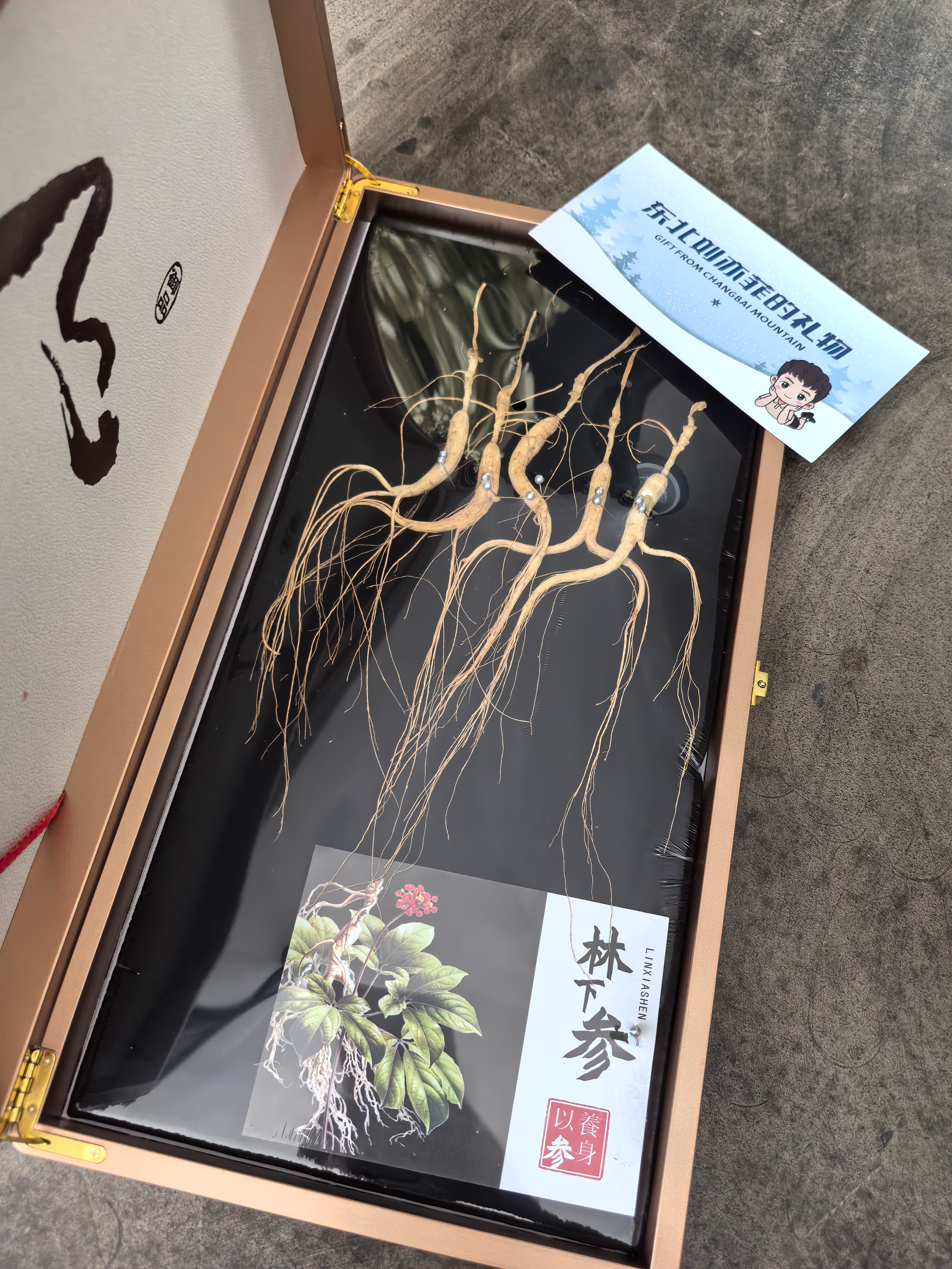 感谢长春老铁 东北刘亦菲送来的长白山千年人参，这对我的修仙之路大有裨益！等我飞升