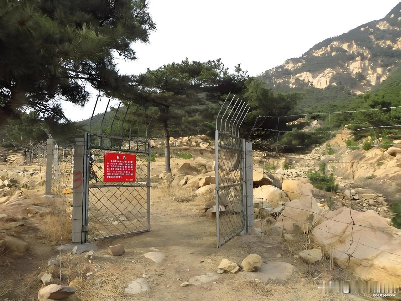 哭笑不得！泰山被“刀片网”圈起来了！135公里，总投入2519万，用的还是边境线