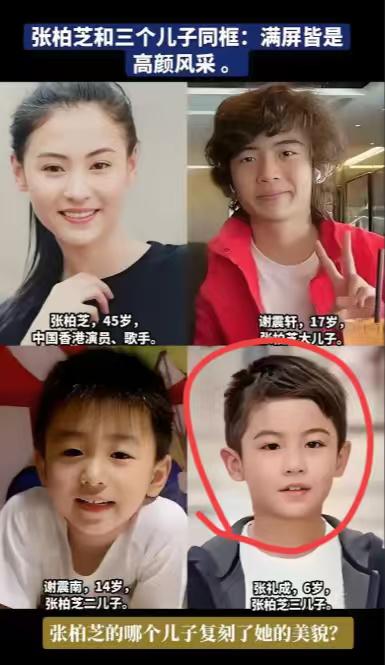 蹲了八年！张柏芝三胎生父的“终极防火墙”终于被港媒扒出，不是记者没本事，是人家从