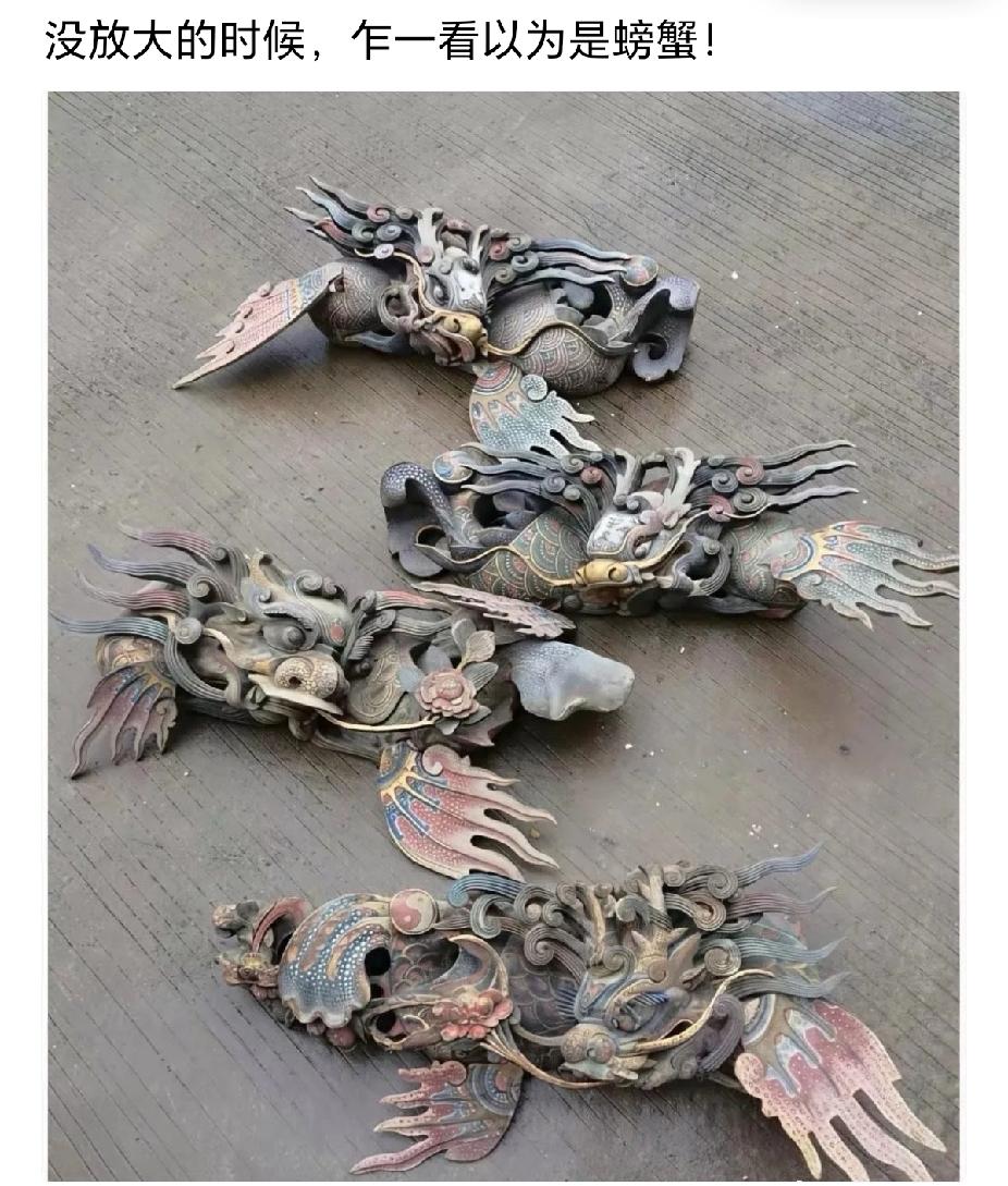 说实话！这玩意放大看，我也以为是螃蟹！[泪奔]