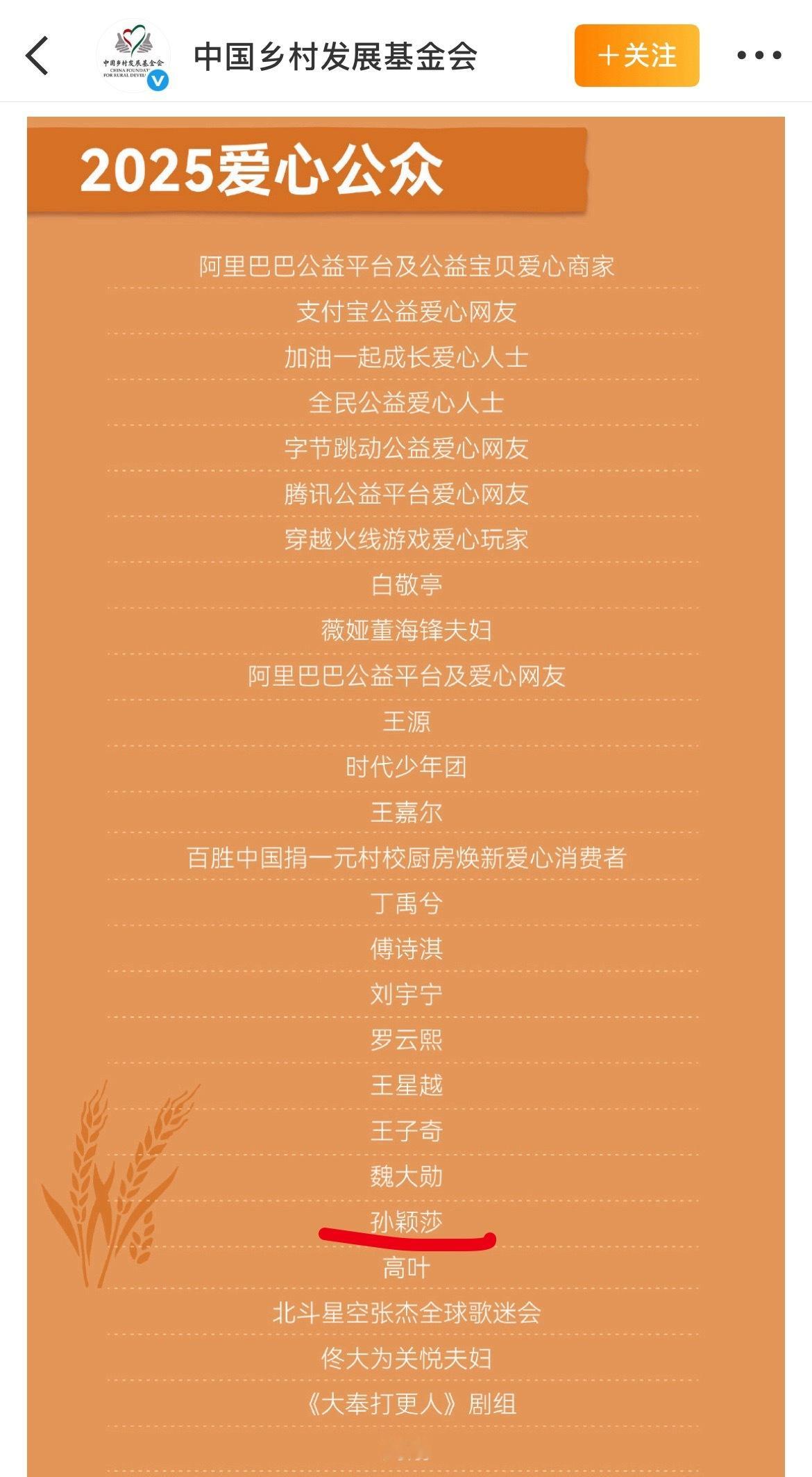 孙颖莎 中国乡村发展基金会 2025爱心公众网页链接