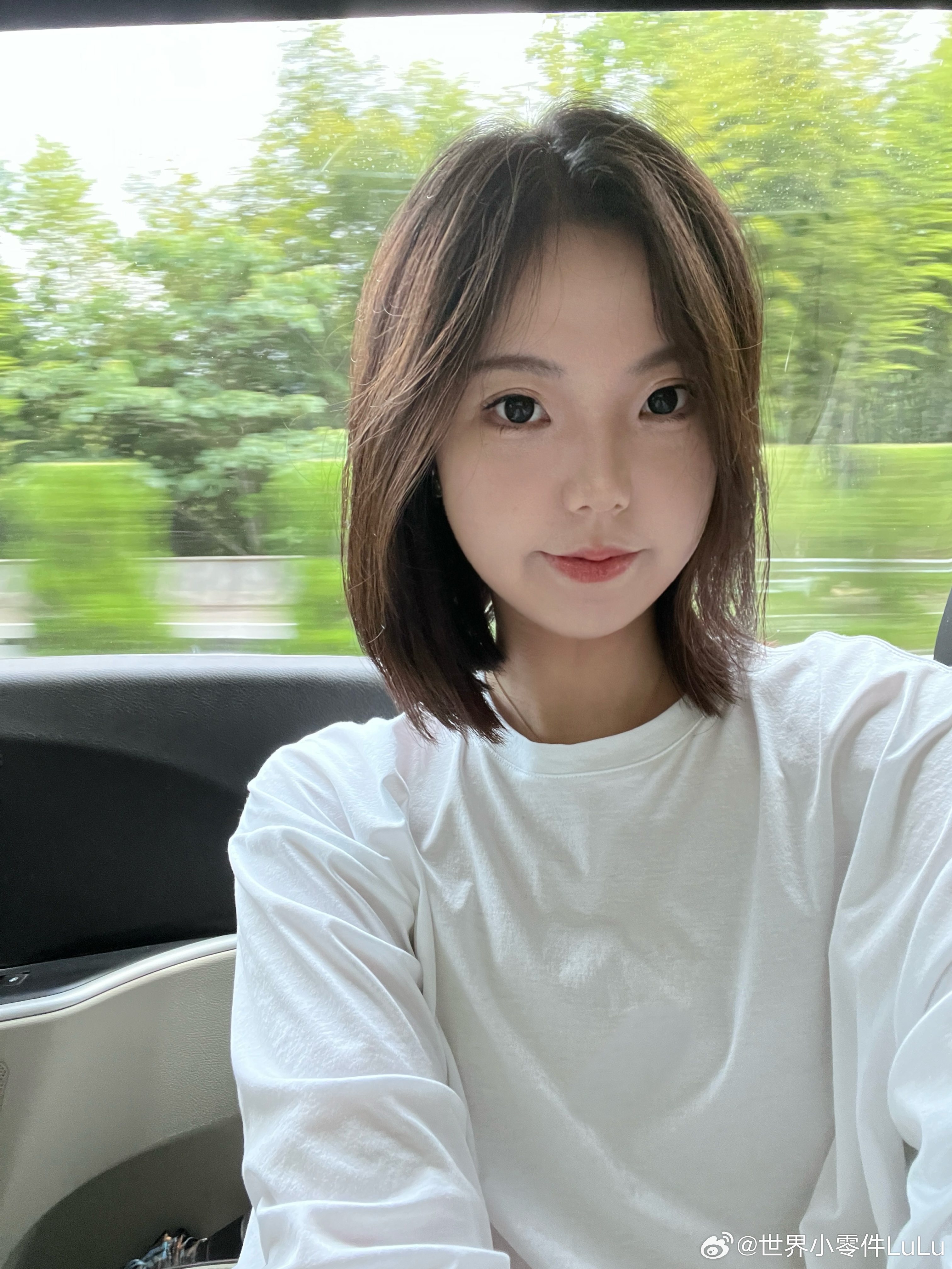 福建碎片 ​​​