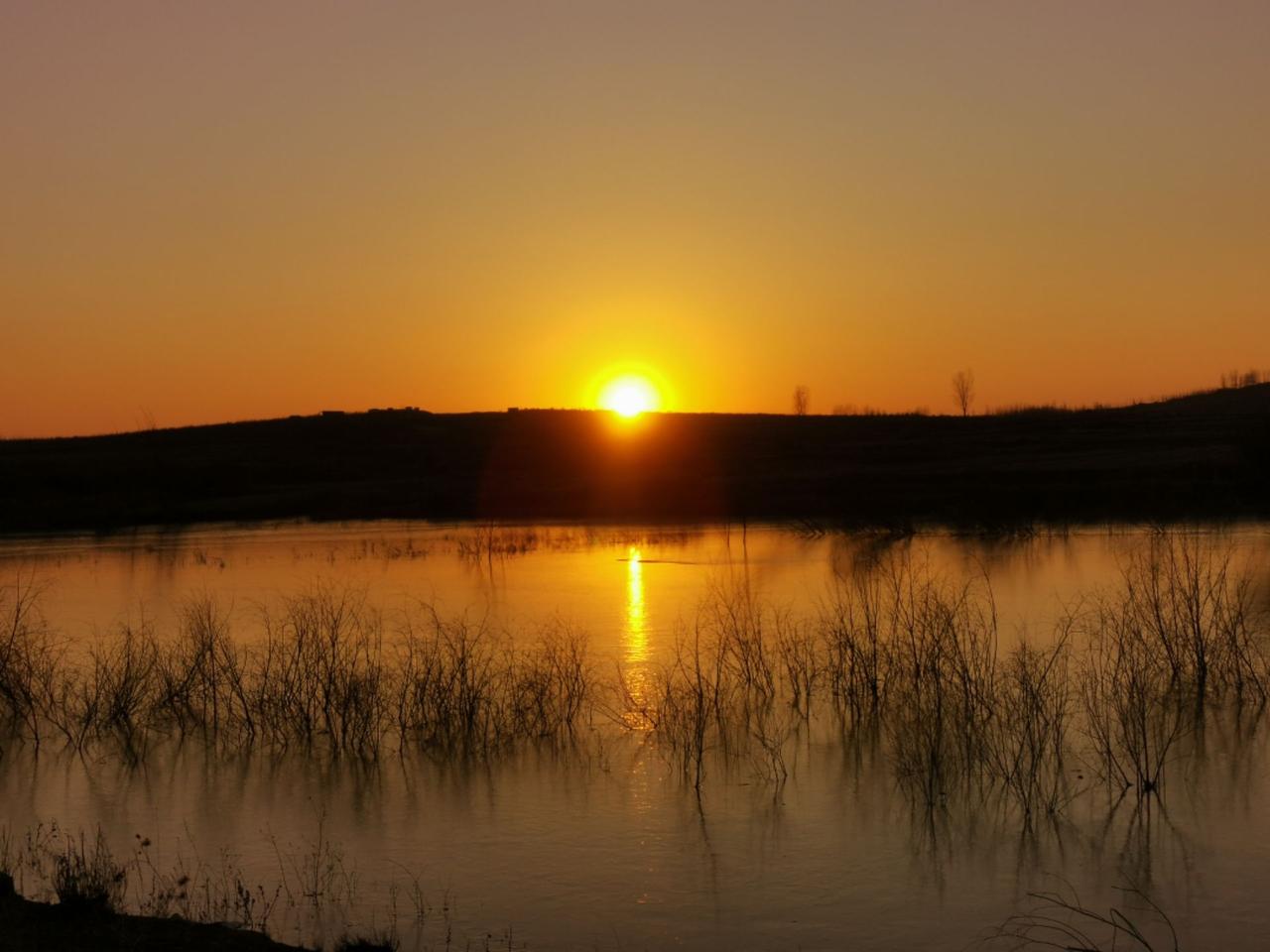 山东宁阳风光赏析
#宁阳#山东#老家#风景#夕阳