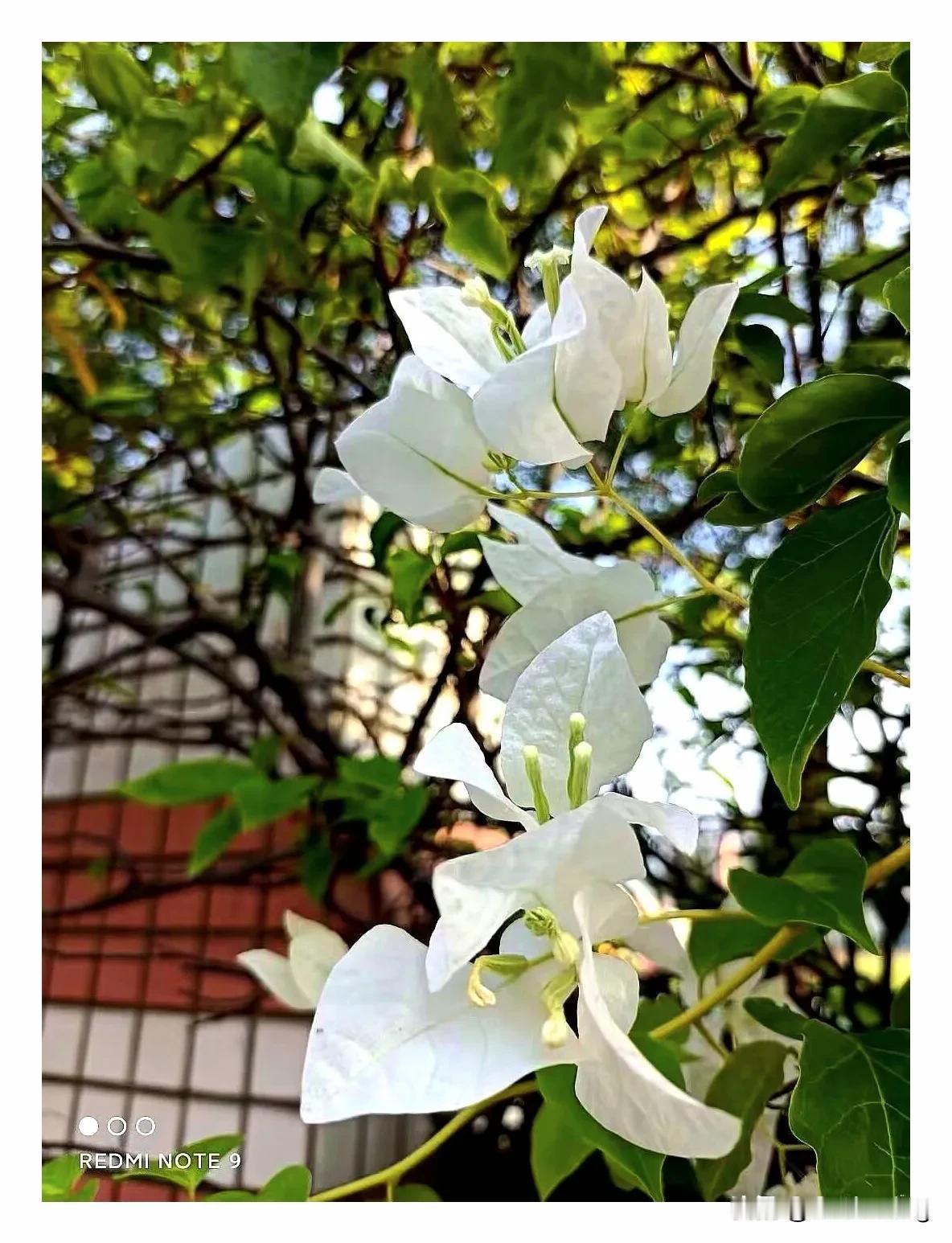 从今天起欢迎大家进入我的粉丝群。我也会作为你们的汽车专业技术战略顾问。
我是一个