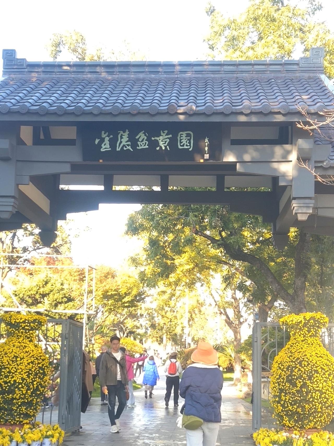 玄武湖金陵盆景园的菊花展，展出的菊花都是天花板级别的。

这里的菊花是一盆一盆放