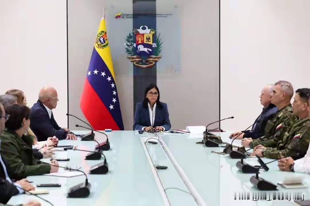 巴西：承认罗德里格斯为委内瑞拉新领导人！

德尔西·罗德里格斯全名为德尔西·埃洛