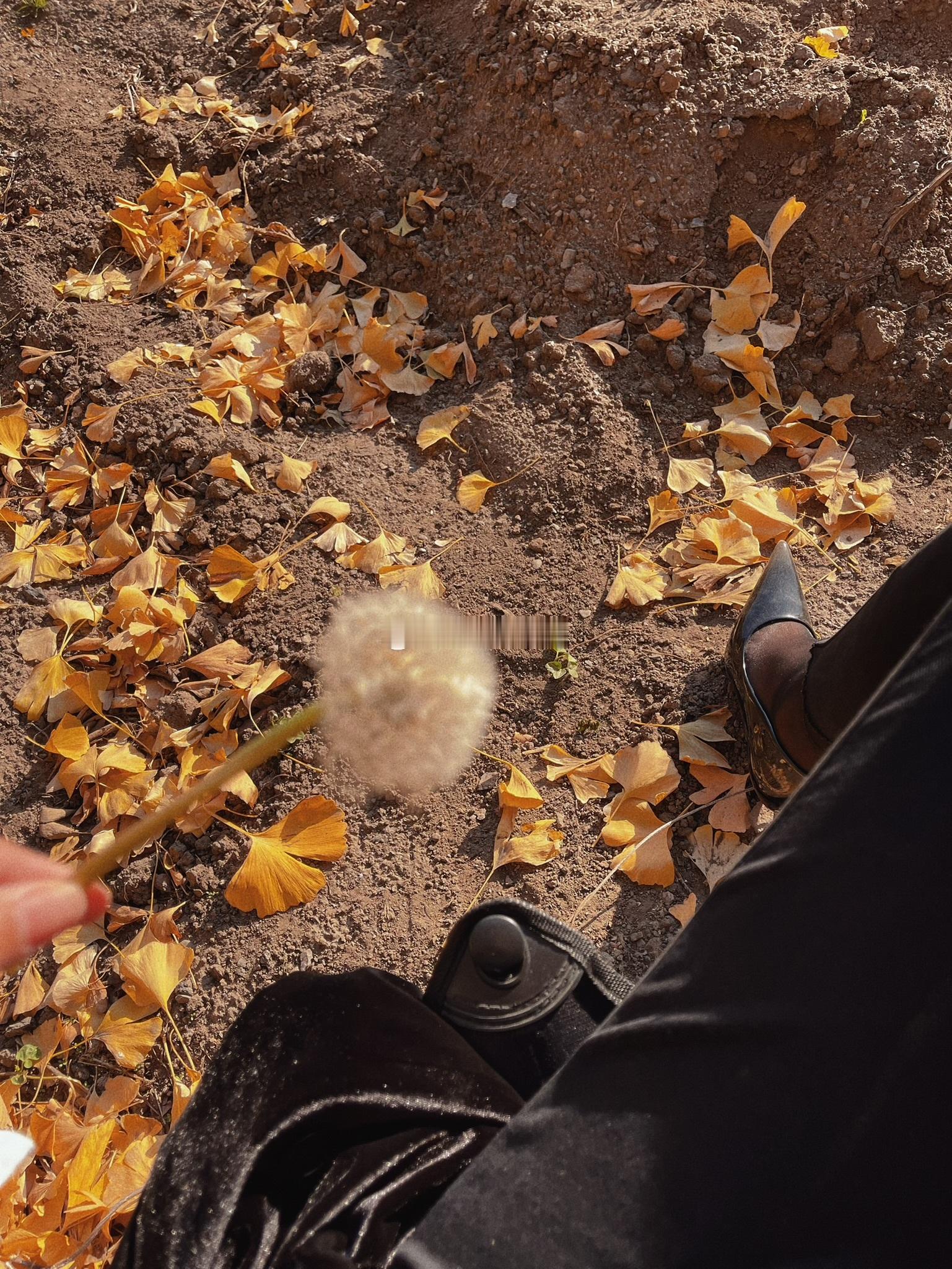 🍂      细高跟鞋 ​​​