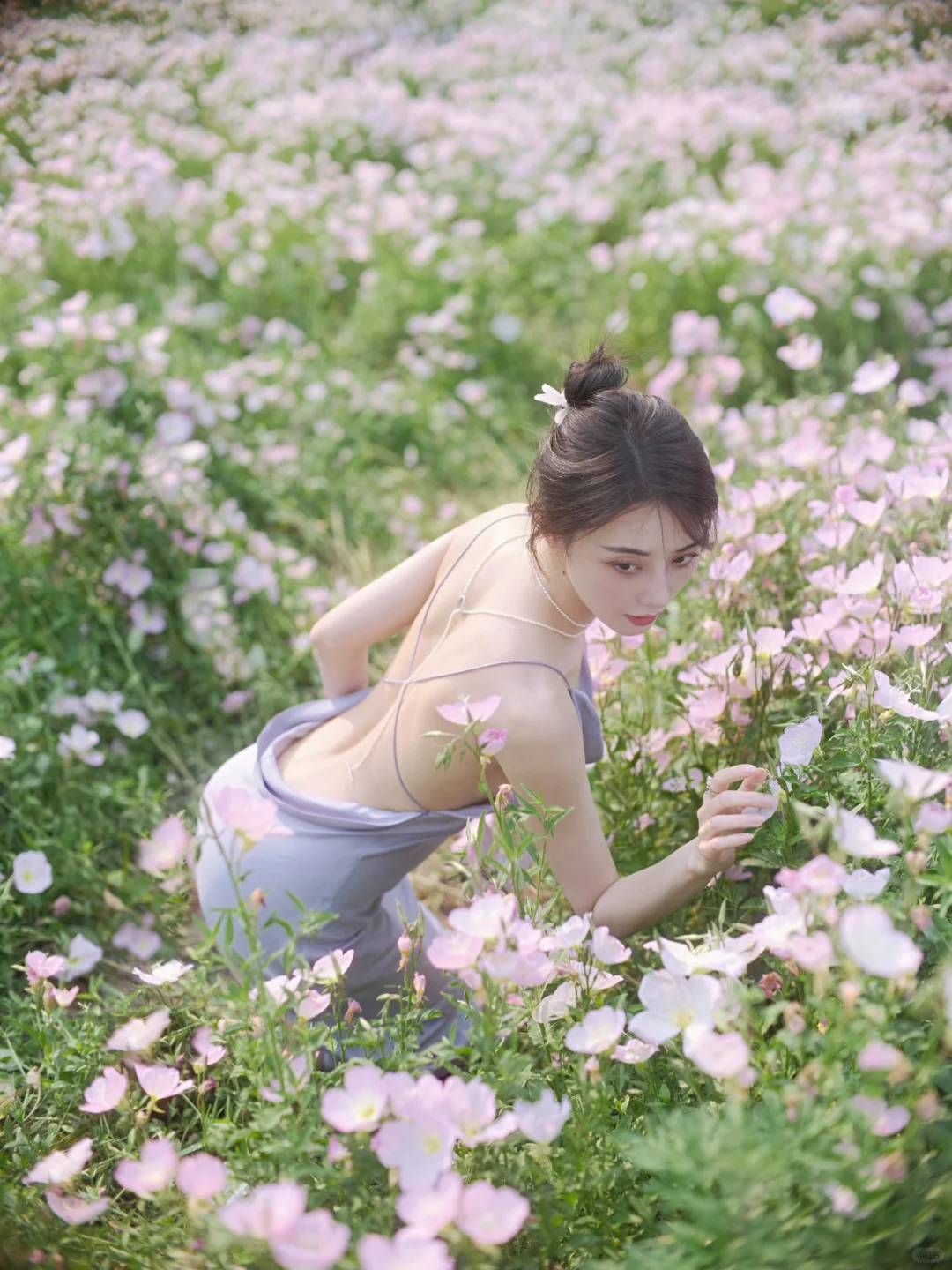 把春风吹到身上，风里夹着温柔🌸