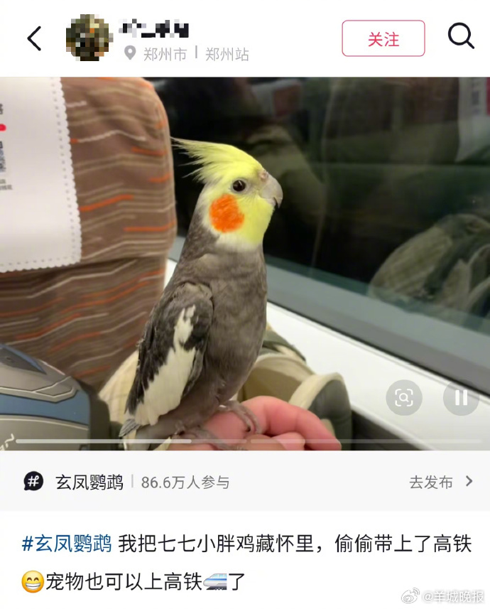 【#12306回应男子带鹦鹉坐高铁#】#禁止随身携带活体动物坐高铁# 近日，有网