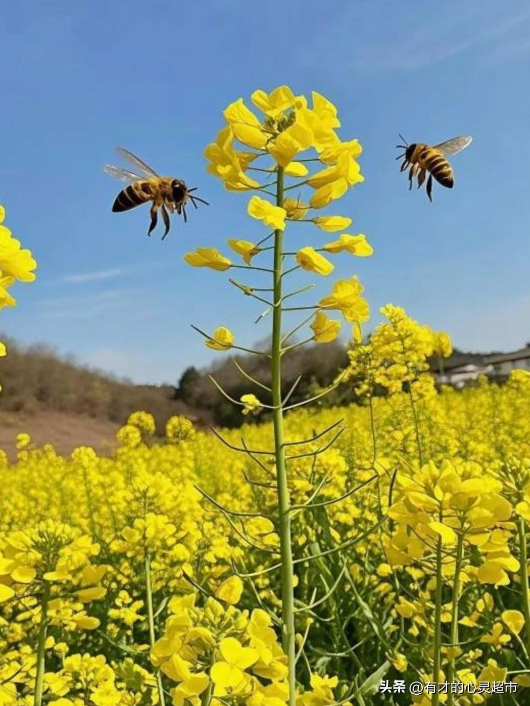 人生一世，免不了被闲言碎语环绕，被是非议论纠缠。可终究要明白：别人的嘴，管不住；
