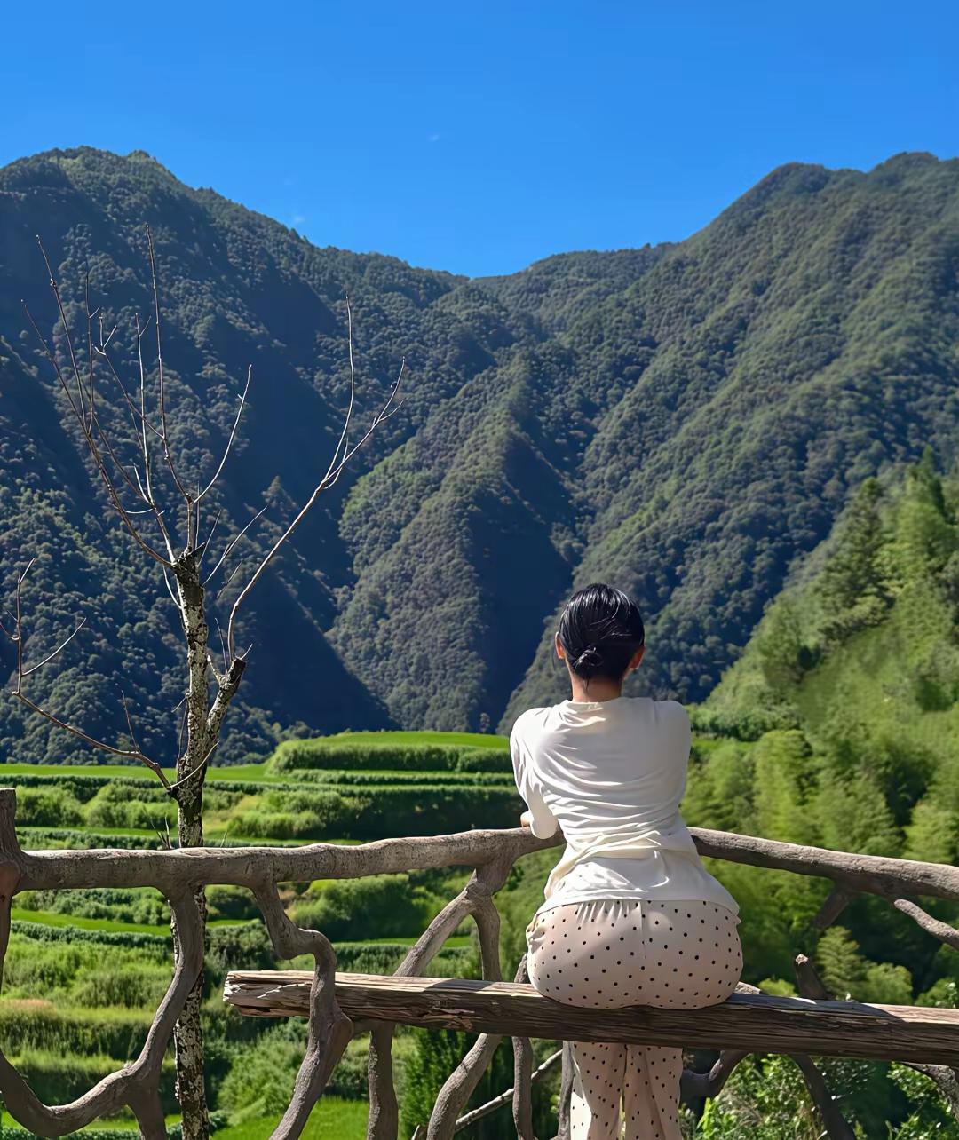 一个人坐在栏杆上看风景。