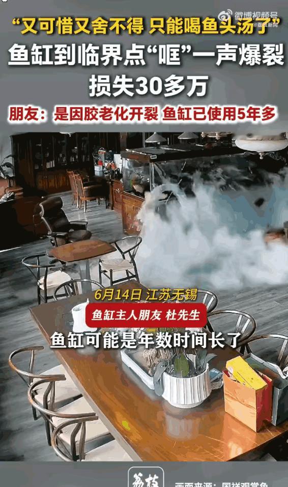 无锡那户人家客厅积了四厘米水。四年没换过胶条。八条龙鱼拍在瓷砖上，鳞片沾着玻璃渣
