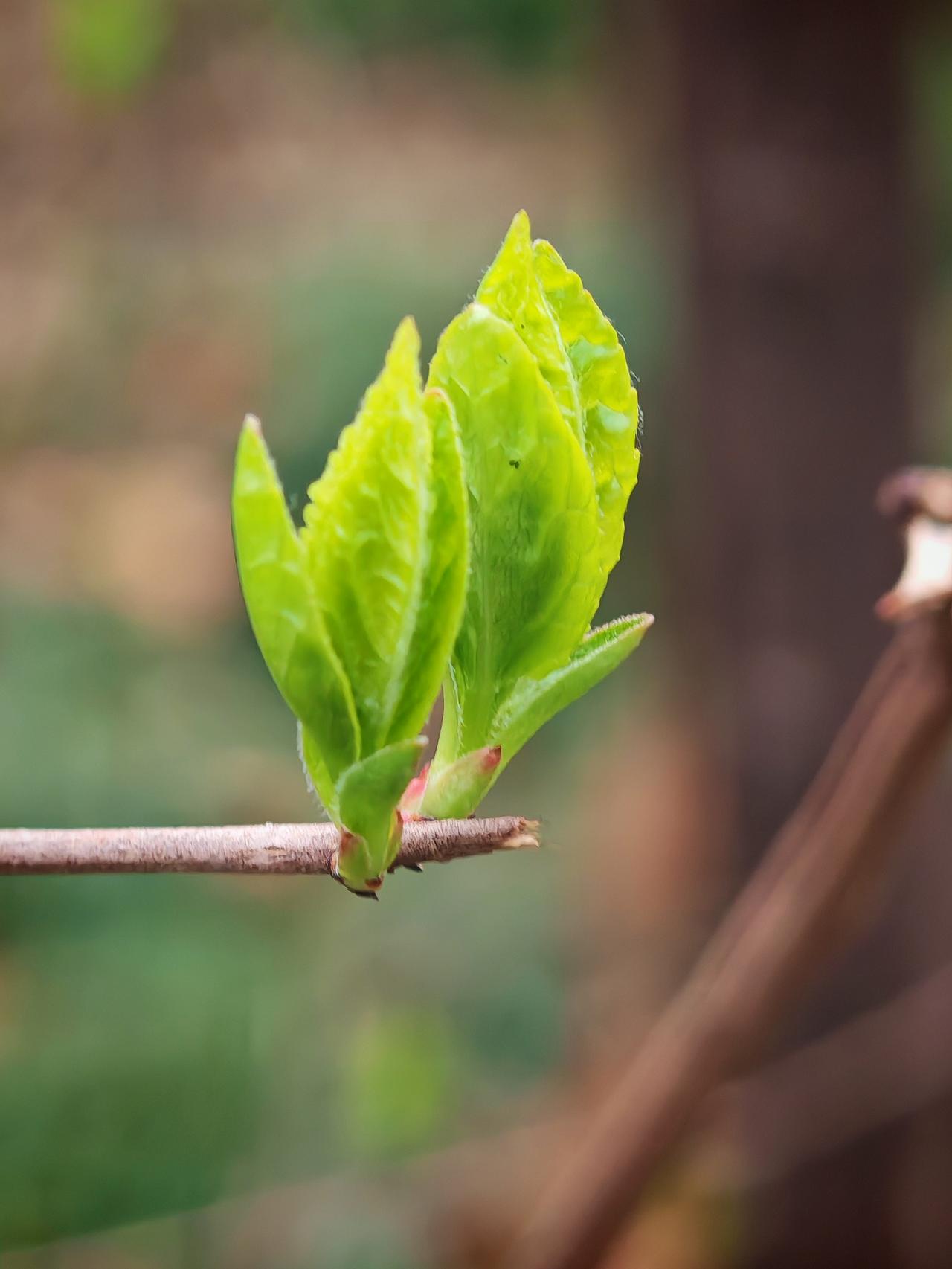 人生在世，我深刻悟到珍惜生命有多重要。之前身边有个朋友，工作起来就像个永动机，日
