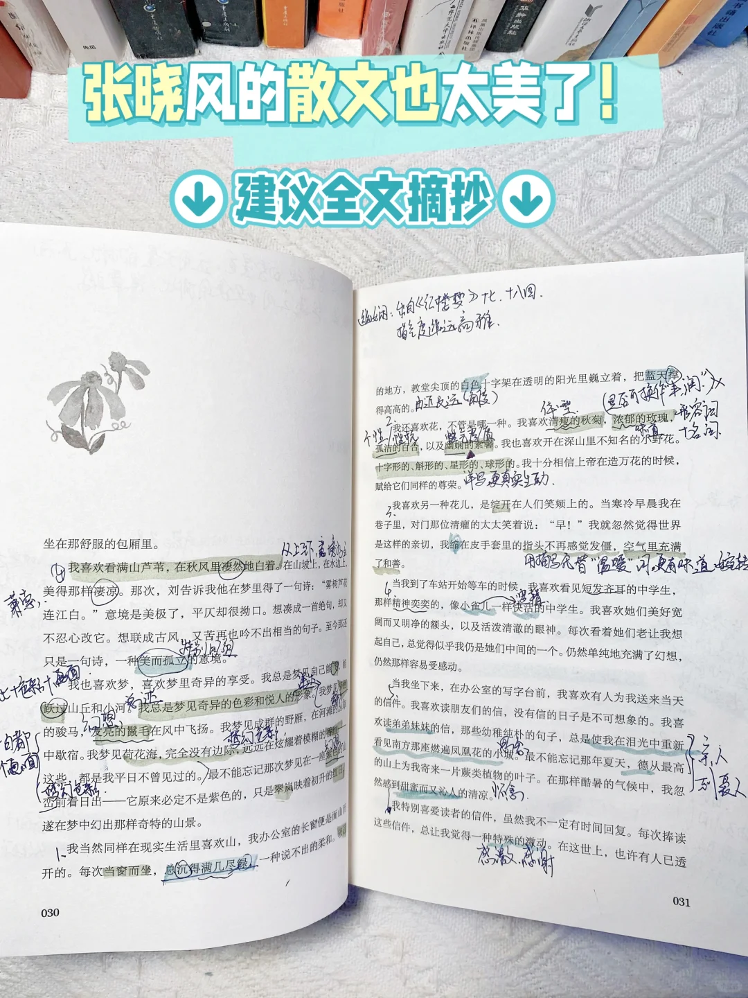 📚张晓风的文笔太美太绝了❣️建议全文摘抄！