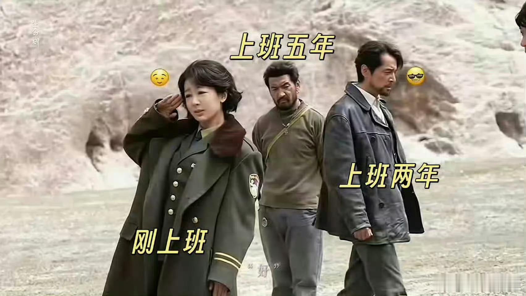 生命树又有新剧可以追了还是杨紫演的嘿嘿 