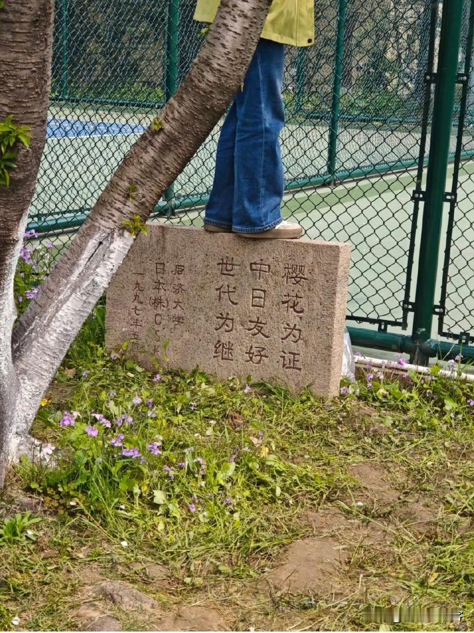 宁信世上有鬼，也不信鬼子的嘴！历史上什么时候中日世代友好，我们就如同老师，它来学