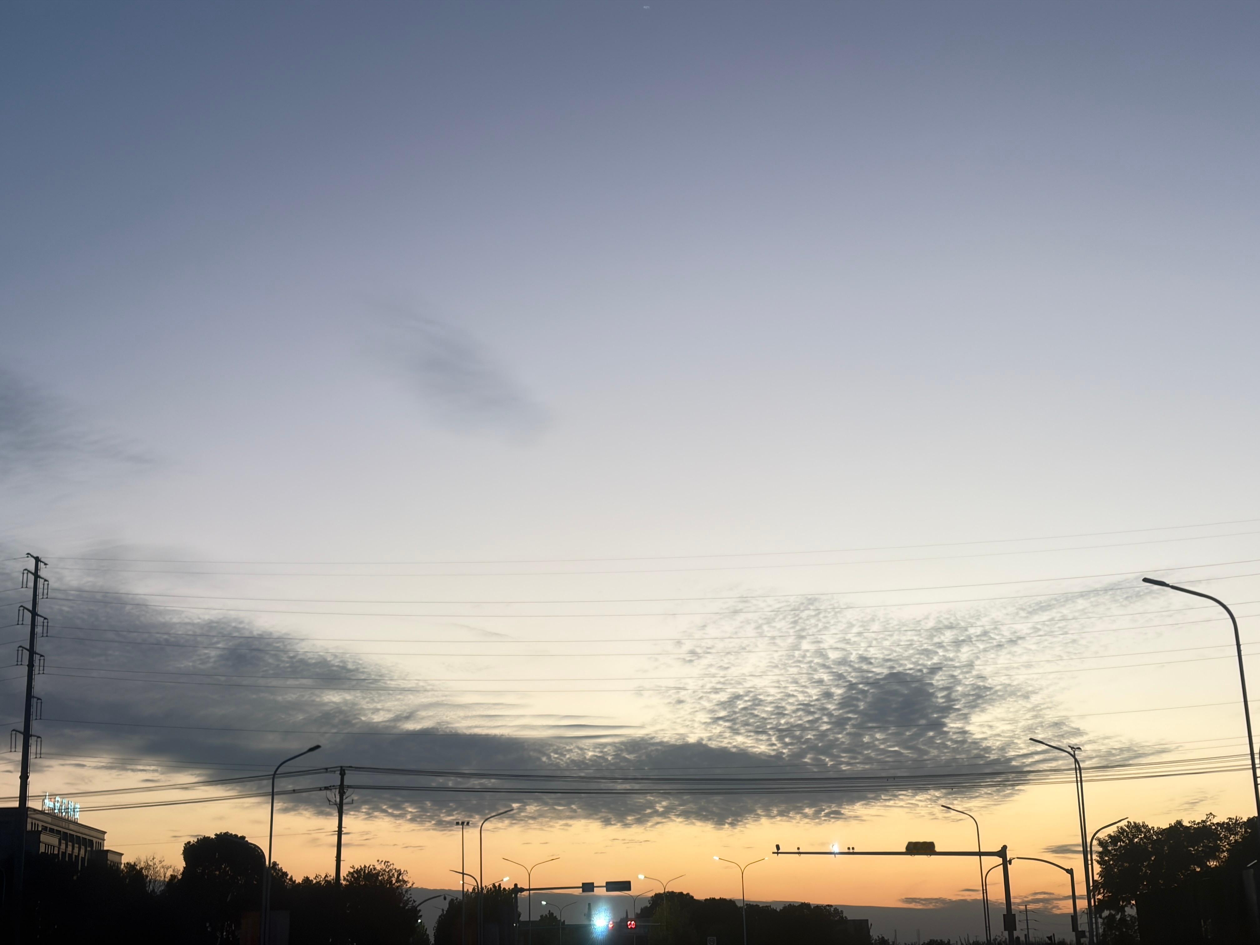 早安尼采曾说：其实人跟树是一样的，越是向往高处的阳光，它的根就越要伸向黑暗的地底