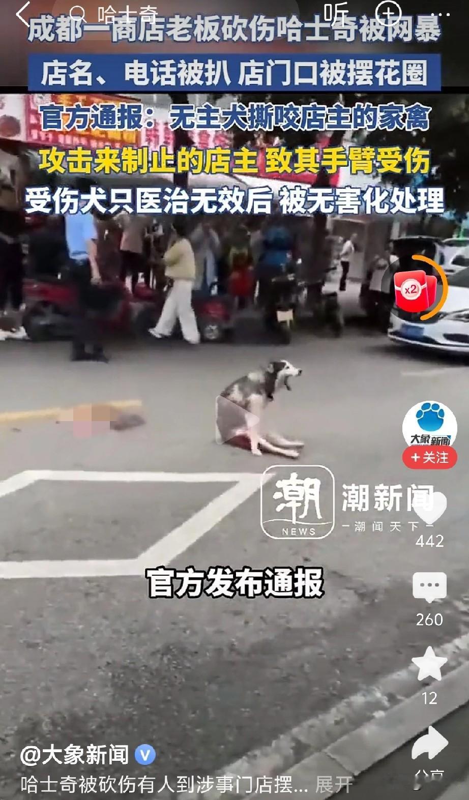 无主哈士奇咬伤家禽和制止的店主，被店主砍伤。

店主进医院并打了狂犬疫苗，而哈士