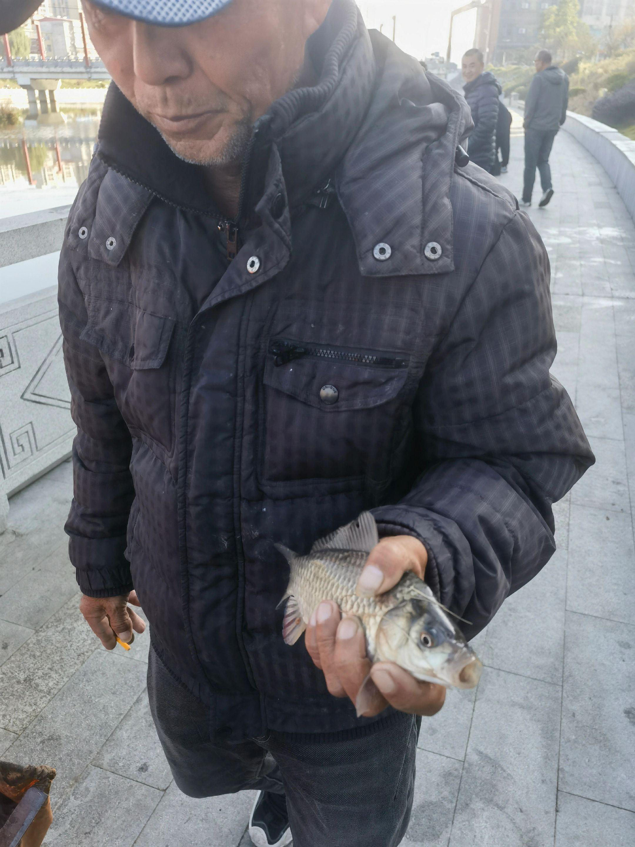 大斤鲫鱼，你大爷还是你大爷。