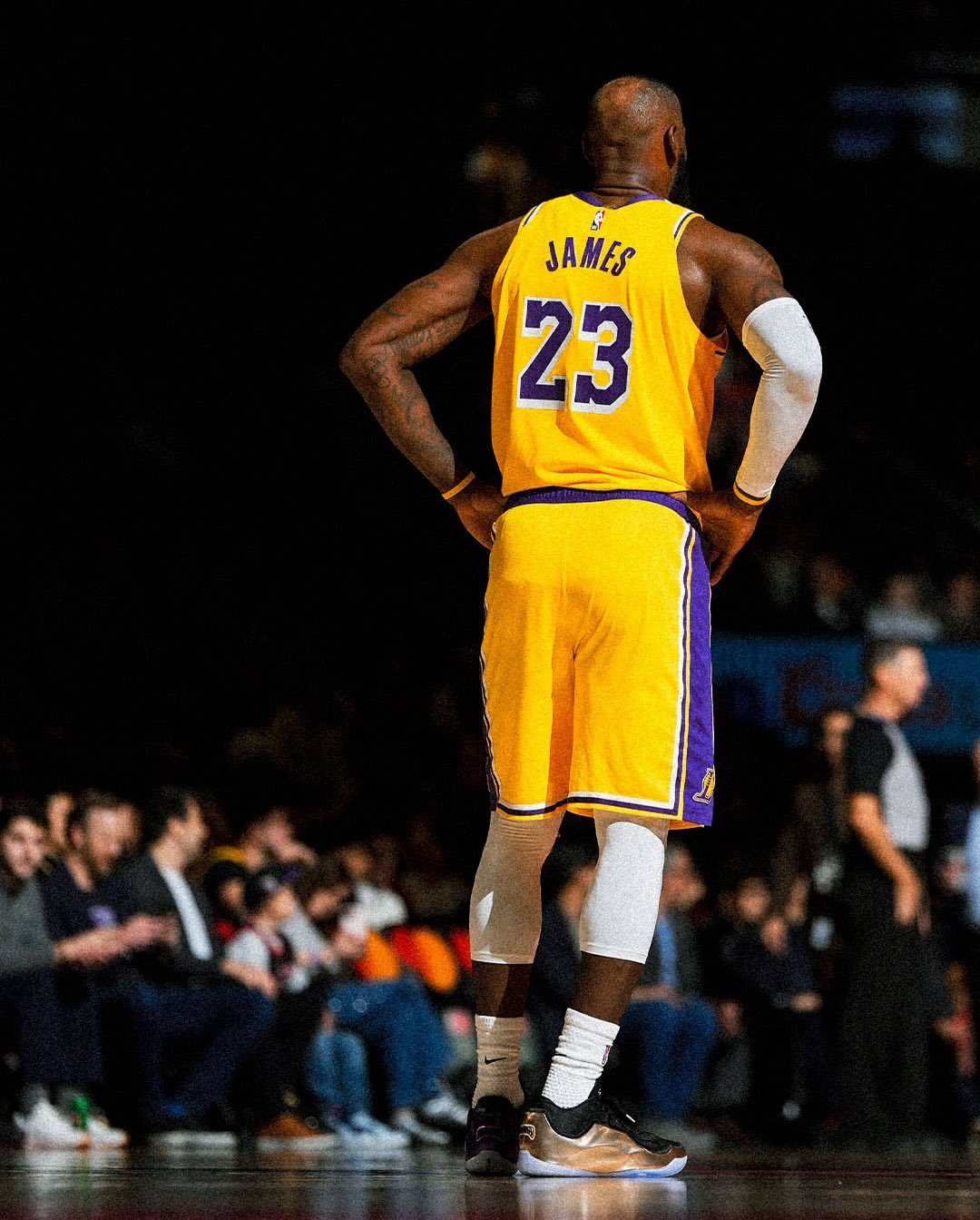 “詹冠里戴👑”詹姆斯里夫斯