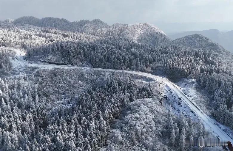 太暖心！丰都雪后这抹“交通橙”，为你筑牢回家路
丰都高海拔地区秒变冰雪世界！南天