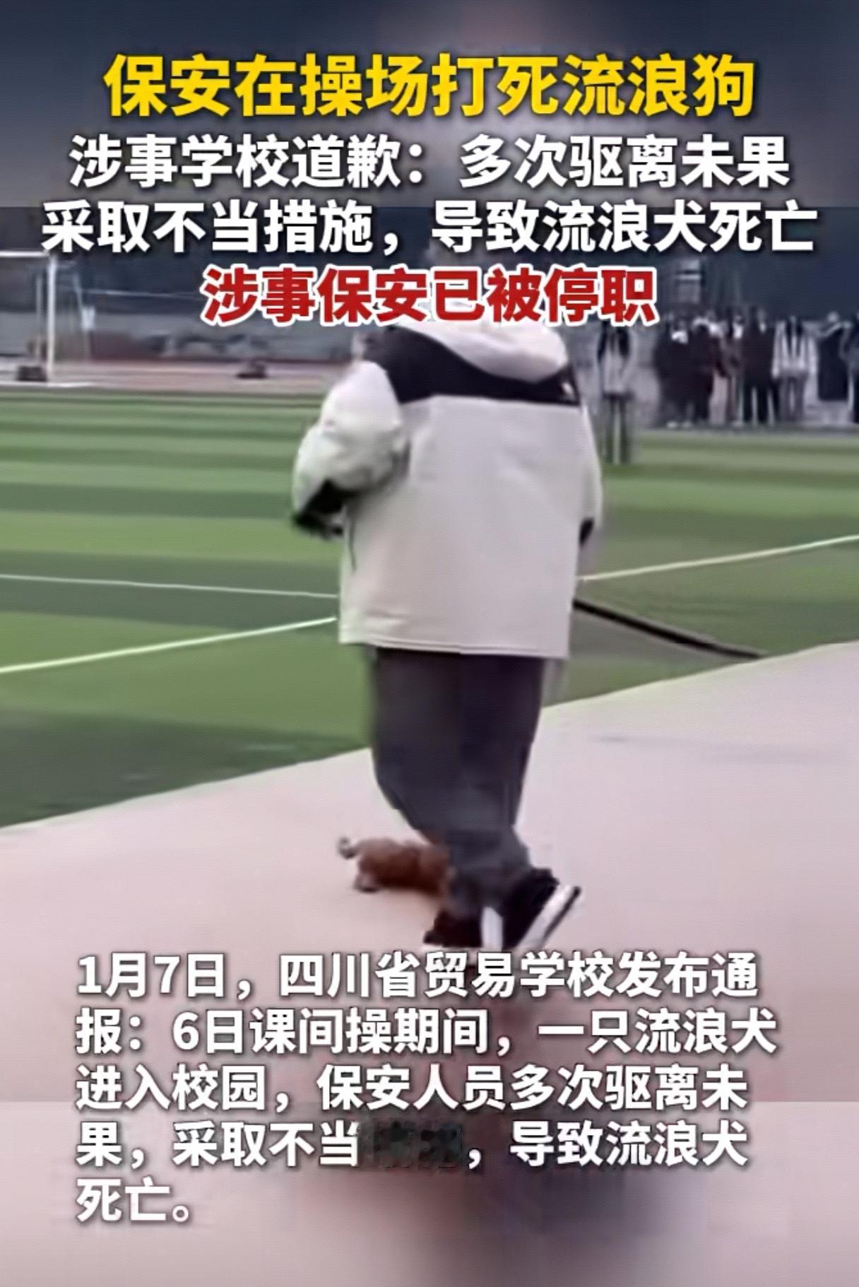 学校保安打死流浪狗被停职，这事儿得两说。像江西新余学院，保安是接到求助去处理流浪