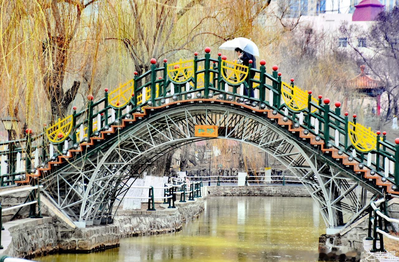 地理冷知识[超话]寻美黑龙江  近日，哈尔滨市降下小雨。在雨水滋润下，公园里的柳